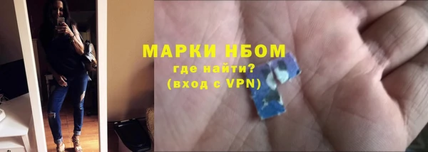 гидра Гатчина