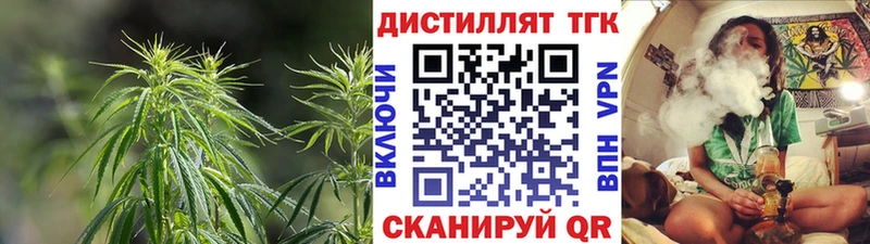Дистиллят ТГК THC oil  Новоузенск 